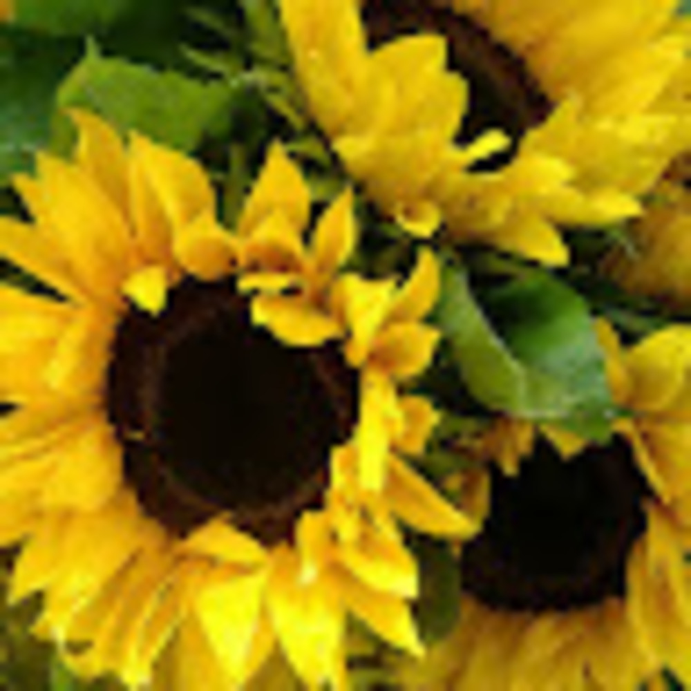 Meet your Posher, Karen